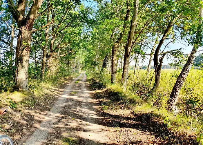 Appartement Kwi 12 Og-